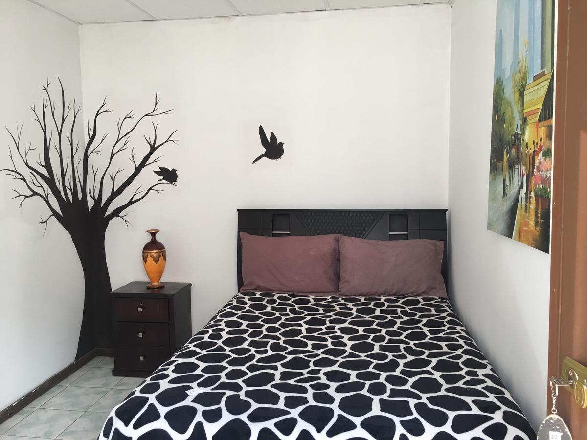 The Backpacker Hostal Ibarra Dış mekan fotoğraf