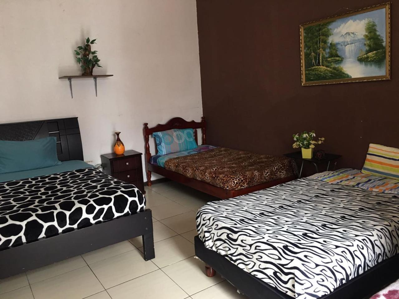 The Backpacker Hostal Ibarra Dış mekan fotoğraf