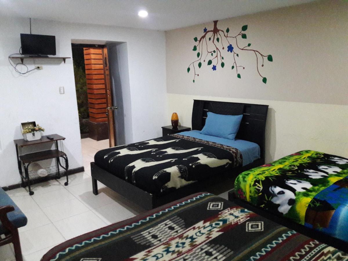 The Backpacker Hostal Ibarra Dış mekan fotoğraf